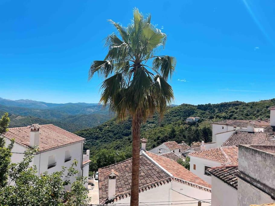La Palmera. Casa Rural Con Piscina Privada. Бенадалид Экстерьер фото